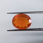 Fire Opal (14 mm x 11 mm) Oval