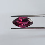 Rhodolite (15 mm x 7.5 mm) Marquise