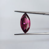 Rhodolite (15 mm x 7.5 mm) Marquise