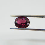 Rhodolite (11 mm x 9 mm) Oval