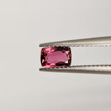 Rubellite (6 mm x 4 mm) Cushion