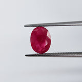 Ruby Burma (8 mm x 6 mm) Oval