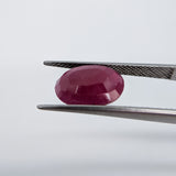 Ruby India (12 mm x 8.4 mm) Oval