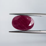 Ruby India (15.3 mm x 10.3 mm) Oval