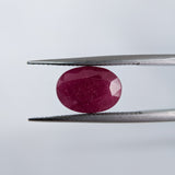 Ruby India (13 mm x 9.3 mm) Oval