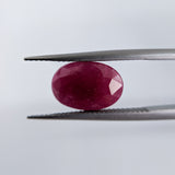 Ruby India (13 mm x 9 mm) Oval