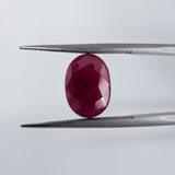 Ruby India (12.7 mm x 9.2 mm) Oval