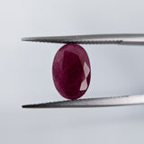 Ruby India (12 mm x 8.3 mm) Oval