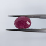 Ruby India (11 mm x 8.5 mm) Oval