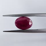 Ruby India (11 mm x 8 mm) Oval