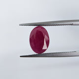 Ruby India (11 mm x 8 mm) Oval