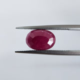 Ruby India (12 mm x 8.3 mm) Oval