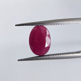 Ruby India (10.5 mm x 7.5 mm) Oval