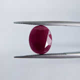 Ruby India (12 mm x 10 mm) Oval