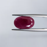 Ruby India (14 mm x 8.3 mm) Oval