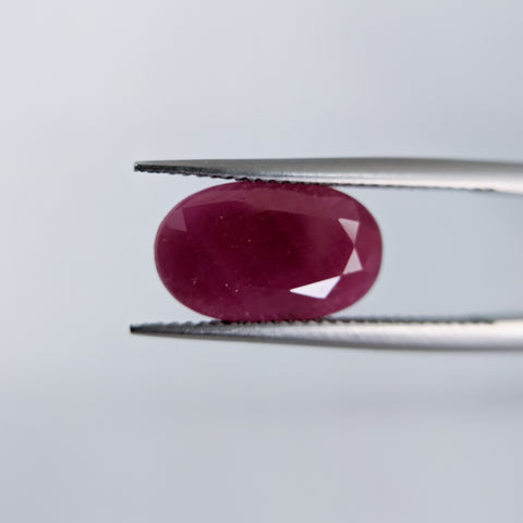 Ruby India (14 mm x 8.3 mm) Oval