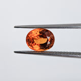 Spessartite (7.6 mm x 6 mm) Oval