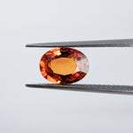 Spessartite (8.4 mm x 6.2 mm) Oval