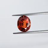 Spessartite (8.5 mm x 7.2 mm) Oval