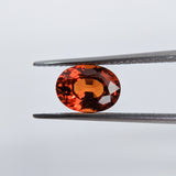 Spessartite (8.4 mm x 6.2 mm) Oval