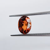 Spessartite (8.4 mm x 6.2 mm) Oval