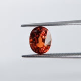 Spessartite (7.2 mm x 5.8 mm) Oval