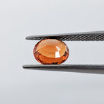 Spessartite (6.7 mm x 5.5 mm) Oval