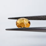 Citrine (8 mm) Round