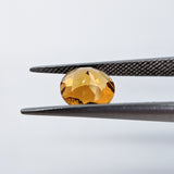 Citrine (8 mm) Round