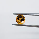 Citrine (6 mm) Round Checkerboard Pair