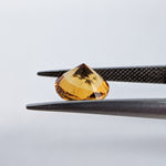 Citrine (9 mm) Round Checkerboard Pair