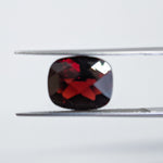 Garnet Mozambique Pair (12 mm x 10 mm) Cushion