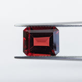 Garnet Mozambique (10 mm x 8 mm) Octagon