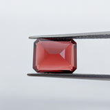 Garnet Mozambique (10 mm x 8 mm) Octagon