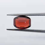 Garnet Mozambique (8 mm x 6 mm) Bridge