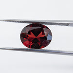 Garnet Mozambique (11 mm x 9 mm) Oval