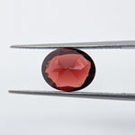 Garnet Mozambique (11 mm x 9 mm) Oval