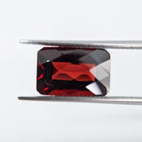 Garnet Mozambique (12 mm x 8 mm) Octagon Checkerboard