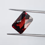 Garnet Mozambique (12 mm x 8 mm) Octagon Checkerboard