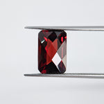 Garnet Mozambique (12 mm x 8 mm) Octagon Checkerboard