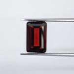 Garnet Mozambique (12 mm x 8 mm) Octagon