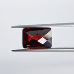 Garnet Mozambique (10 mm x 7 mm) Octagon Checkerboard