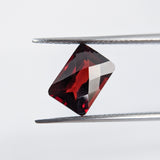 Garnet Mozambique (10 mm x 7 mm) Octagon Checkerboard