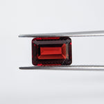 Garnet Mozambique (10 mm x 7 mm) Octagon