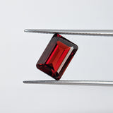 Garnet Mozambique (10 mm x 7 mm) Octagon