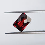 Garnet Mozambique (10 mm x 7 mm) Octagon Checkerboard