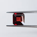 Garnet Mozambique (7 mm) Octagon