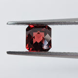 Garnet Mozambique (5 mm) Octagon