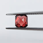 Garnet Mozambique (5 mm) Octagon