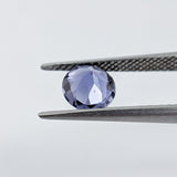 Iolite (6 mm) Round